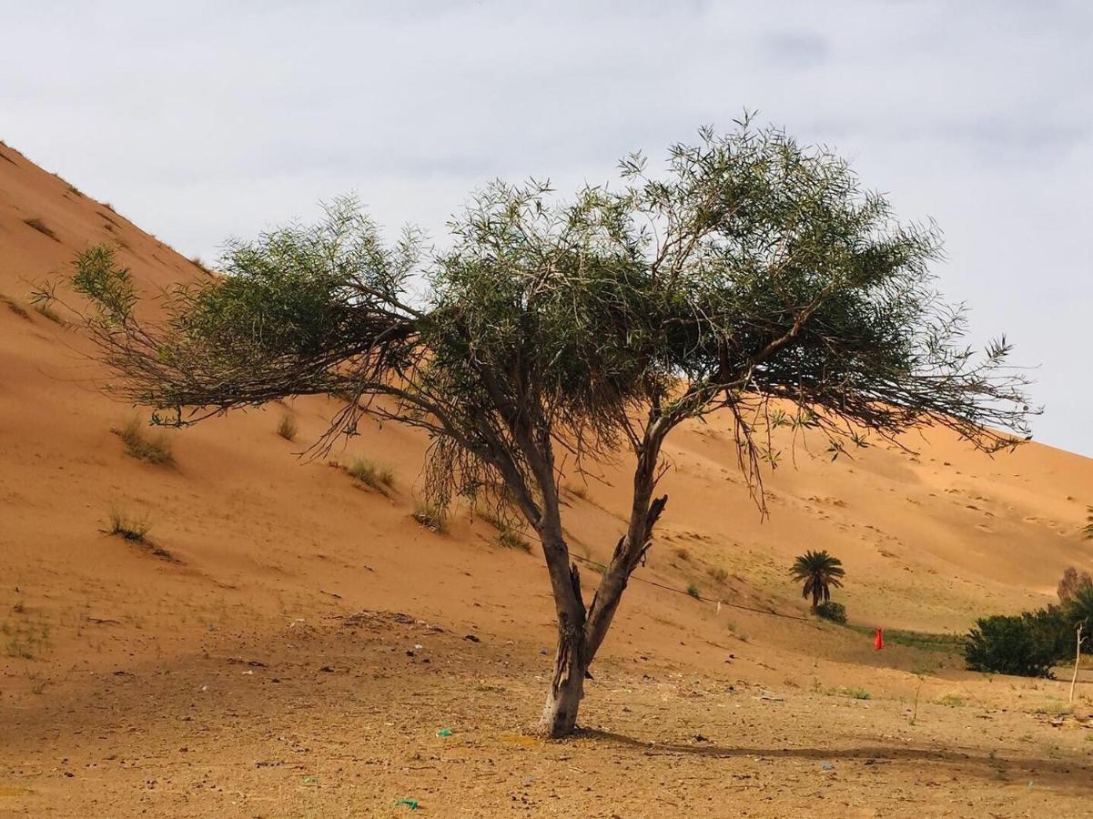 Desert Camel Trekking Camp Мерзуга Екстер'єр фото