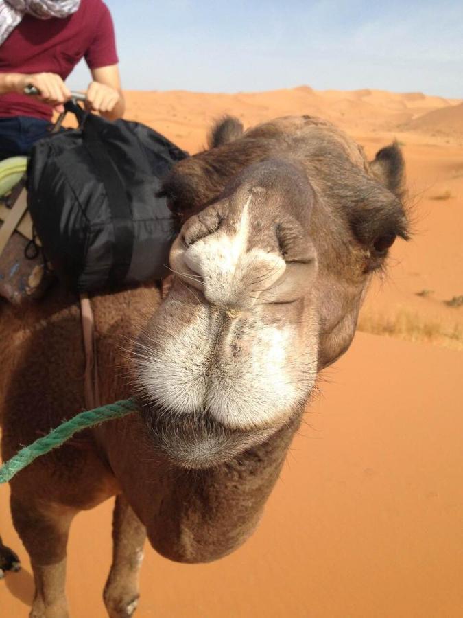 Desert Camel Trekking Camp Мерзуга Екстер'єр фото