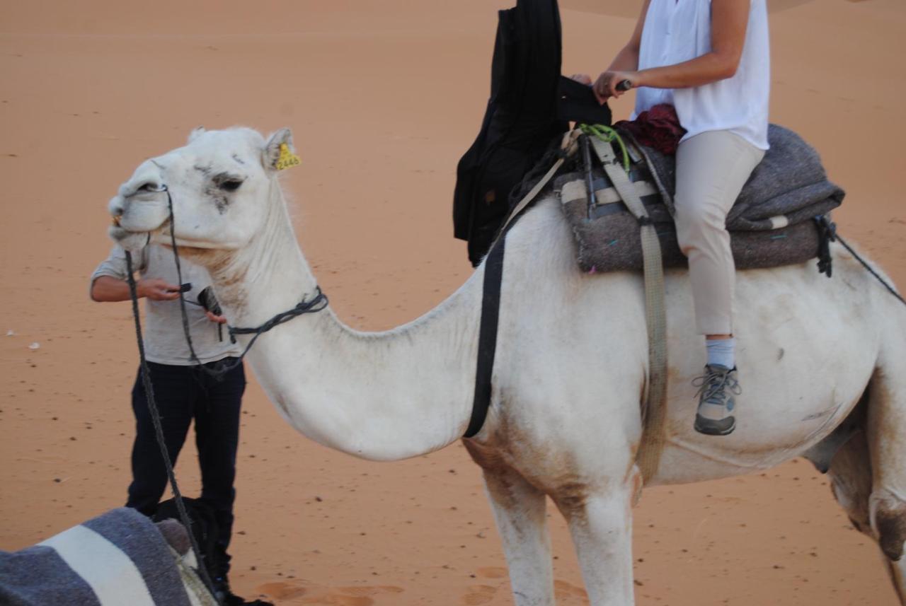 Desert Camel Trekking Camp Мерзуга Екстер'єр фото